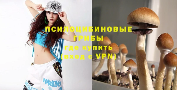 соль курить ск Абаза